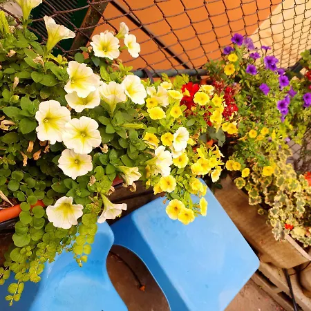 Open Space Con Giardino Vicino Mare 010007-lt-0081