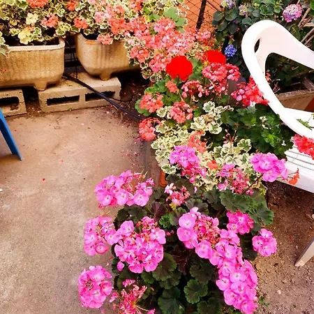 Open Space Con Giardino Vicino Mare 010007-lt-0081 * 카모글리