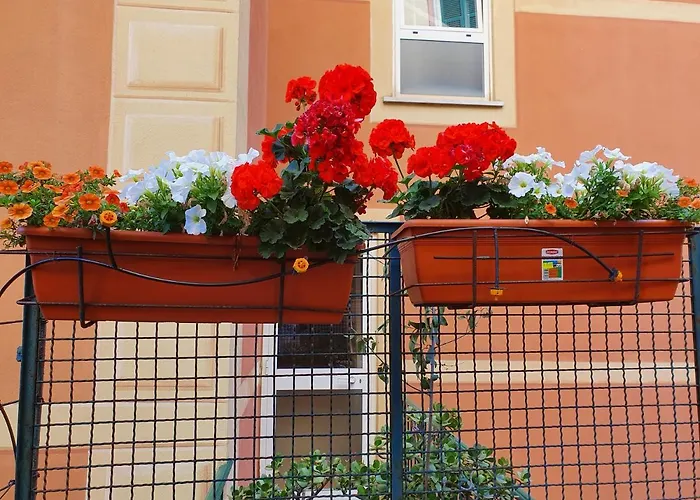 Open Space Con Giardino Vicino Mare 010007-lt-0081 * Camogli