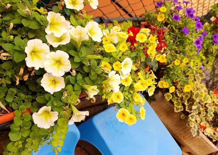 Open Space Con Giardino Vicino Mare 010007-lt-0081