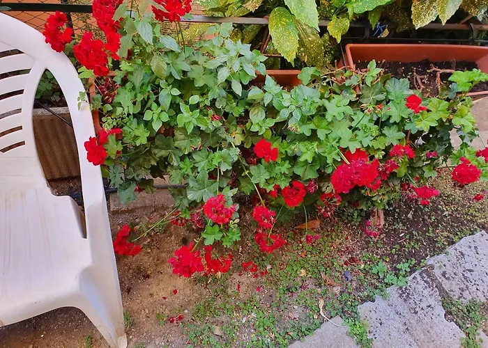 Open Space Con Giardino Vicino Mare 010007-lt-0081 Camogli