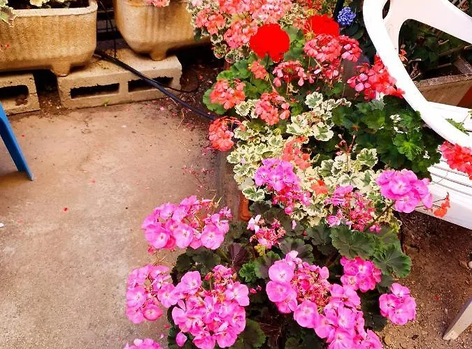 Open Space Con Giardino Vicino Mare 010007-lt-0081 * Camogli