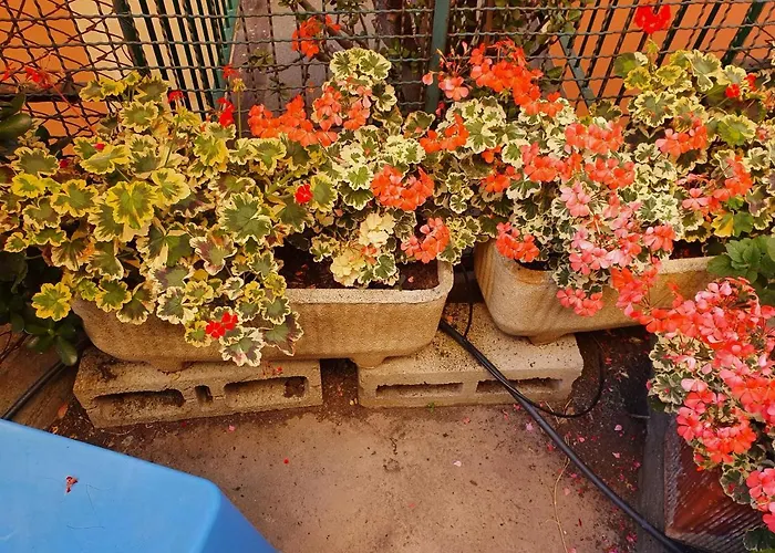 Open Space Con Giardino Vicino Mare 010007-lt-0081 Lägenhet *